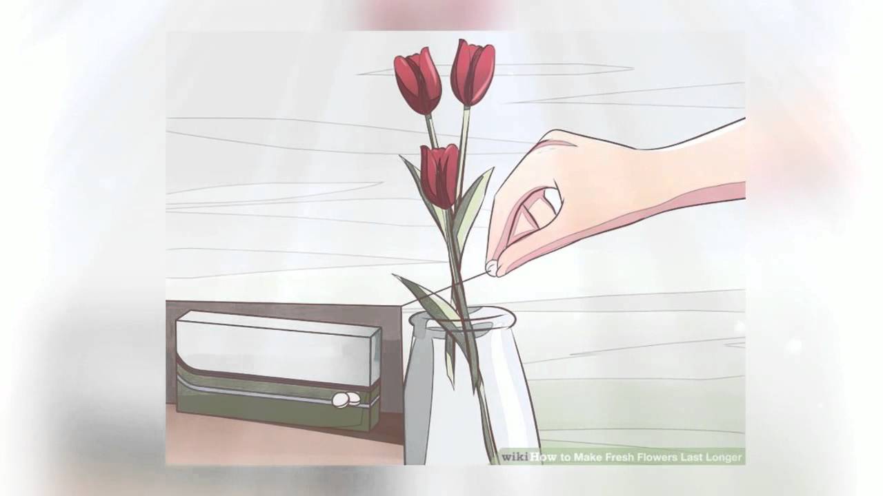 Karen's Floral Expressions - Make your flowers last loner!