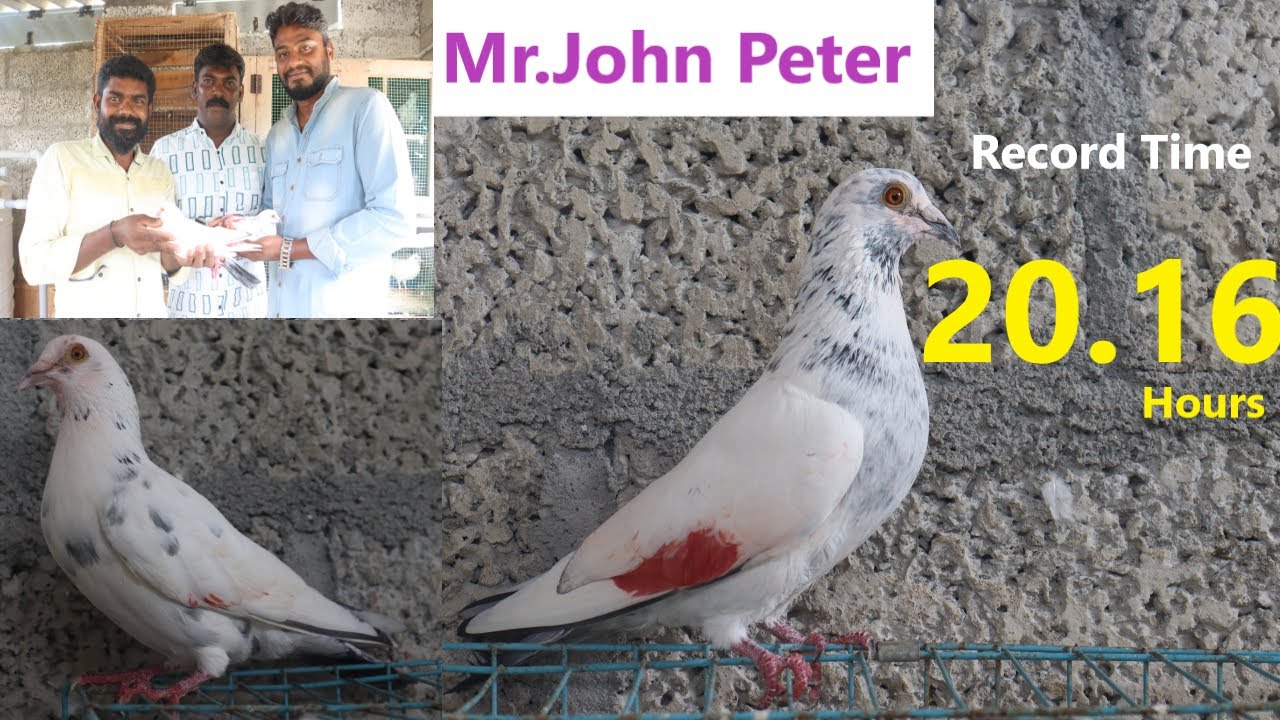 Mr. John Peter  - Record time - 20.16 hours
