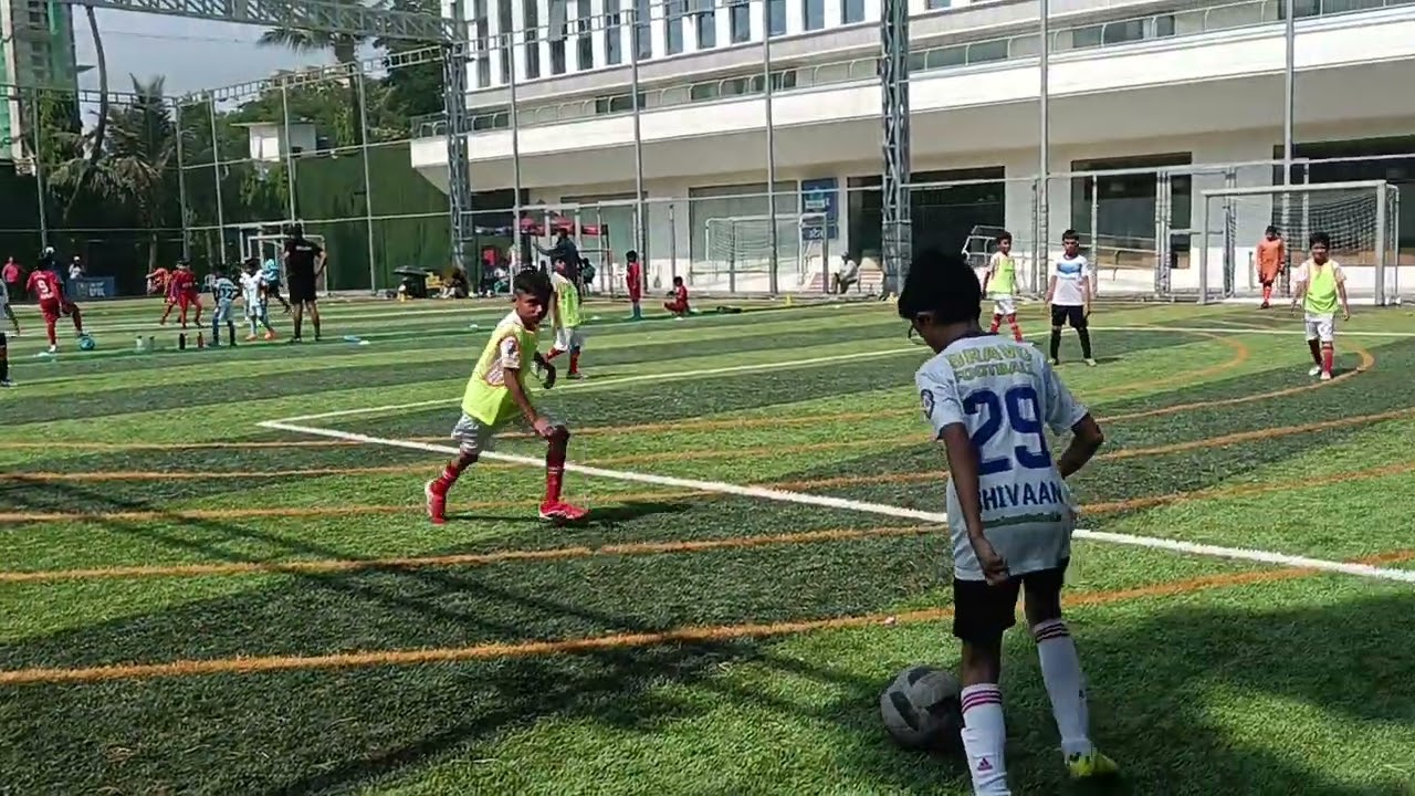 Dpdl against bravo white