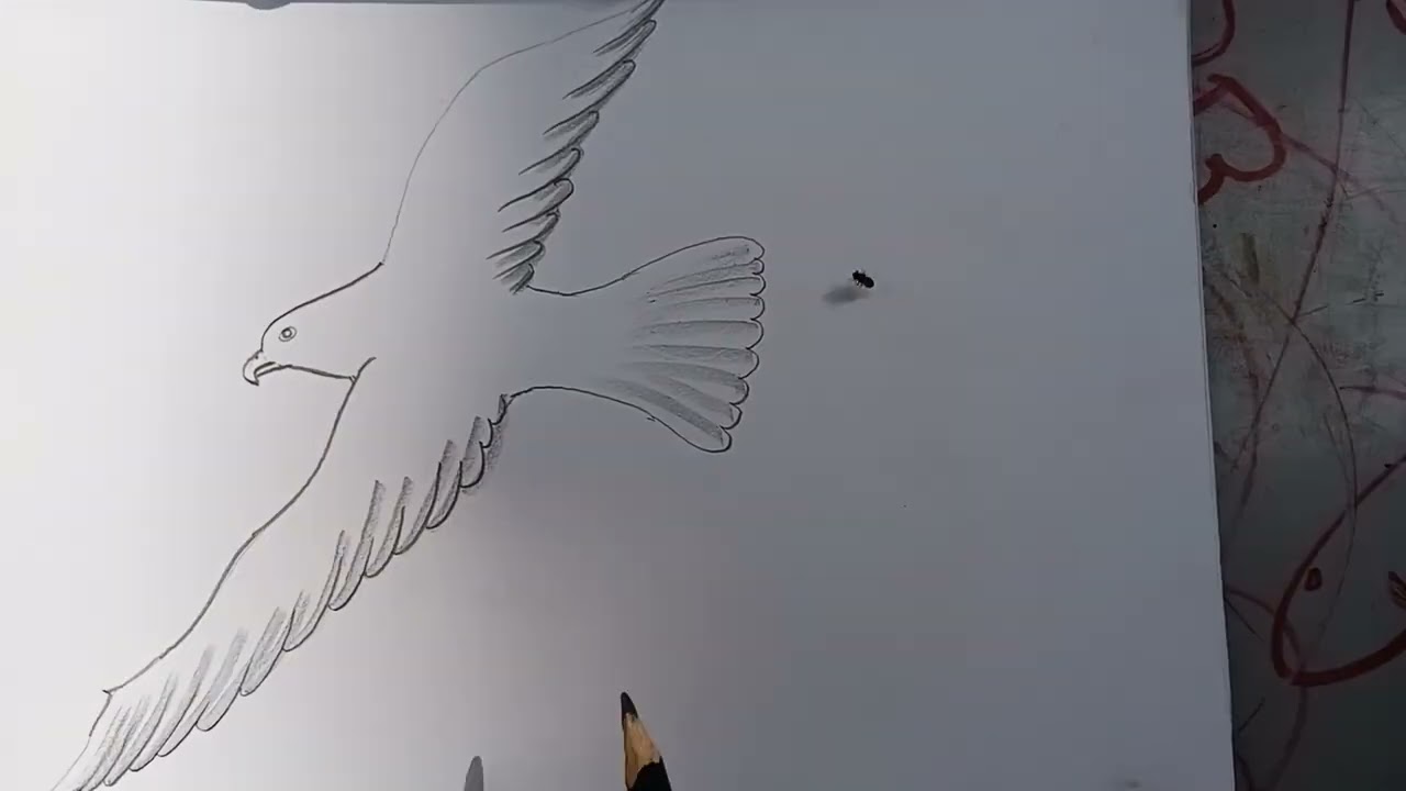 A flying falcon. #viral video 