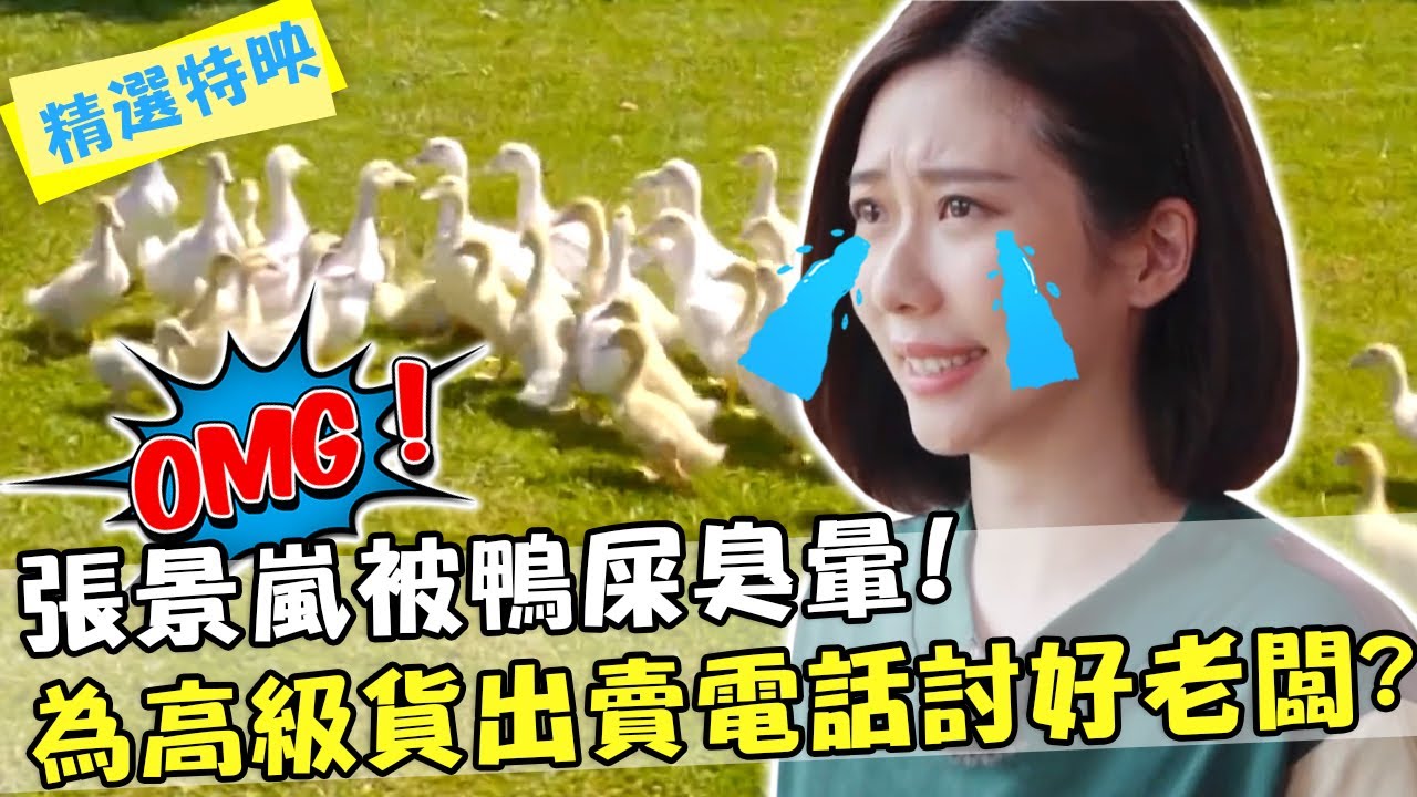 女神也有今天？張景嵐被鴨屎臭暈！為「高級貨」出賣電話討好老闆？！【#開動吧漂亮姐姐】精選特映 歐漢聲 張立東 張景嵐