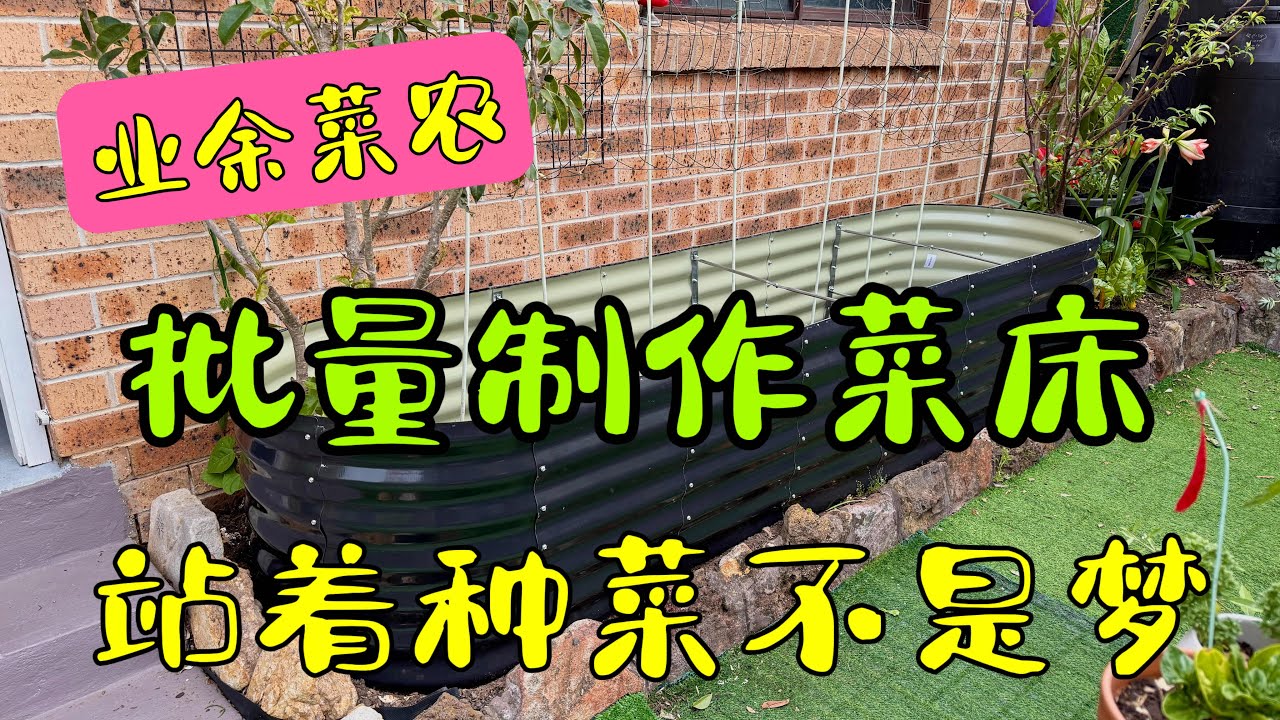 站着种菜实现了 - 菜床批量制作 224