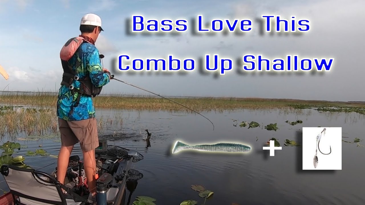 Bass Love This Combo Shallow