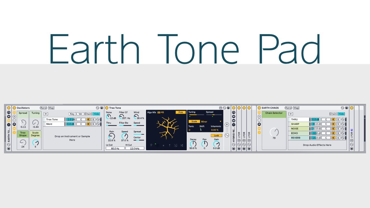 Tree Tone Generative Pad with Ableton Live 12 (FREE DOWNLOAD)