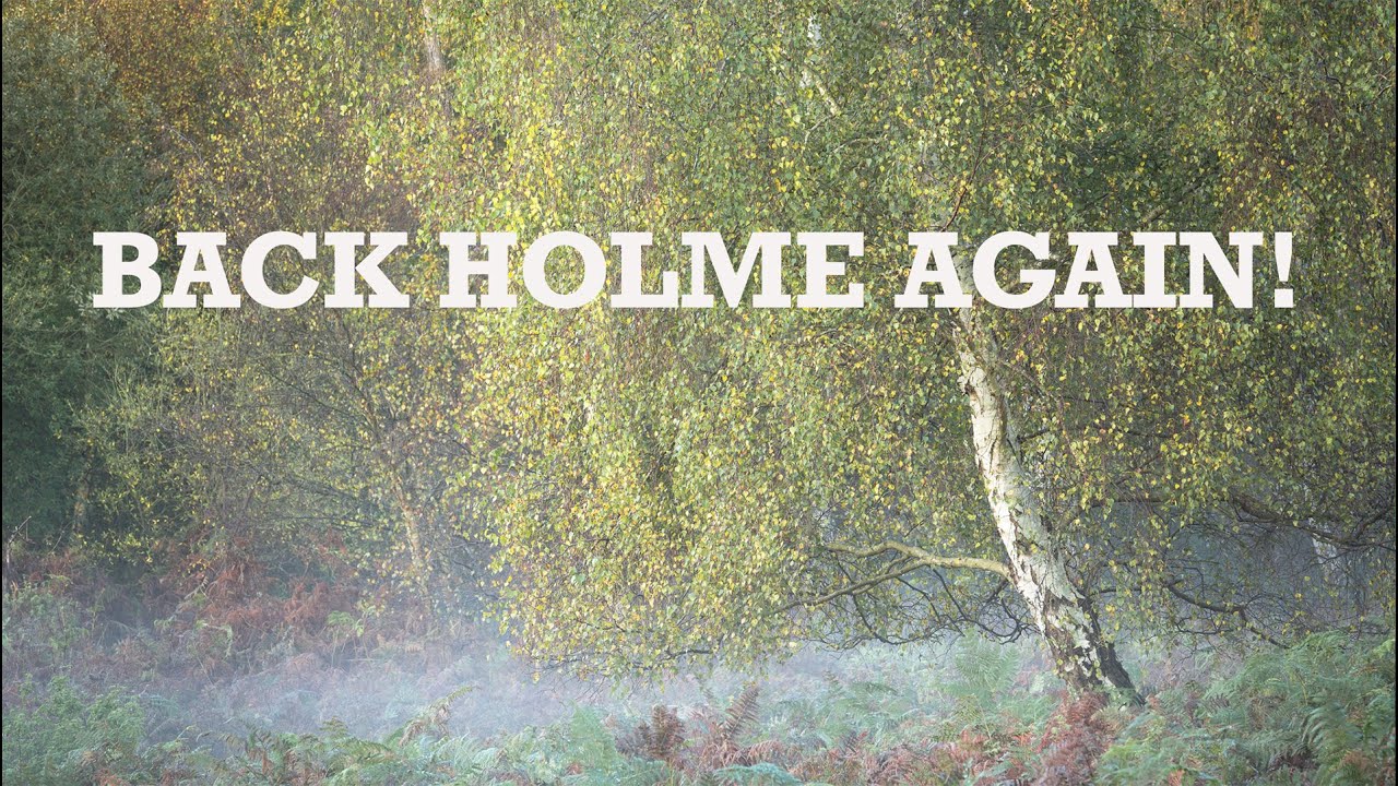 Back Holme photographing woodland with a telephoto lens