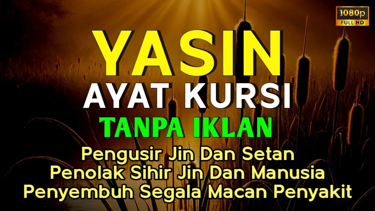 Surah Yasin & Ayat Kursi Pengusir Setan dan Penyembuh Segala Penyakit, Ngaji Merdu | Alaa Yaser