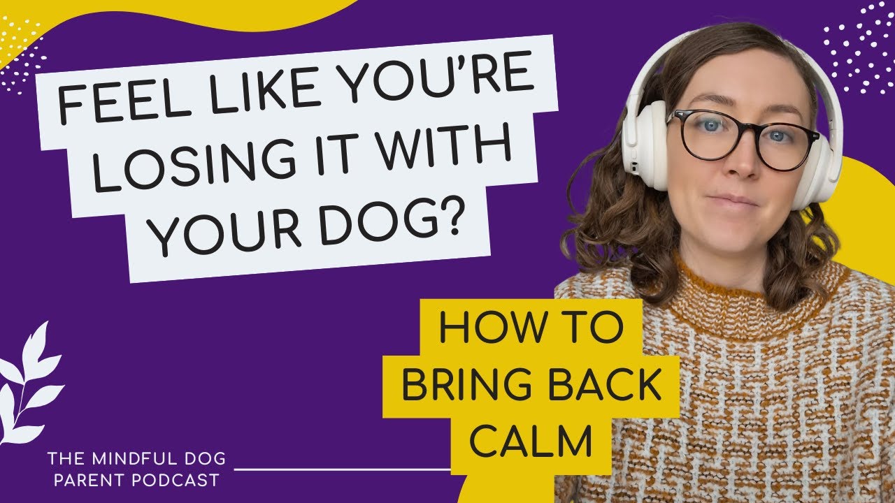 When Staying Calm Feels Impossible: Why You Keep Losing It (and How to Come Back Faster)