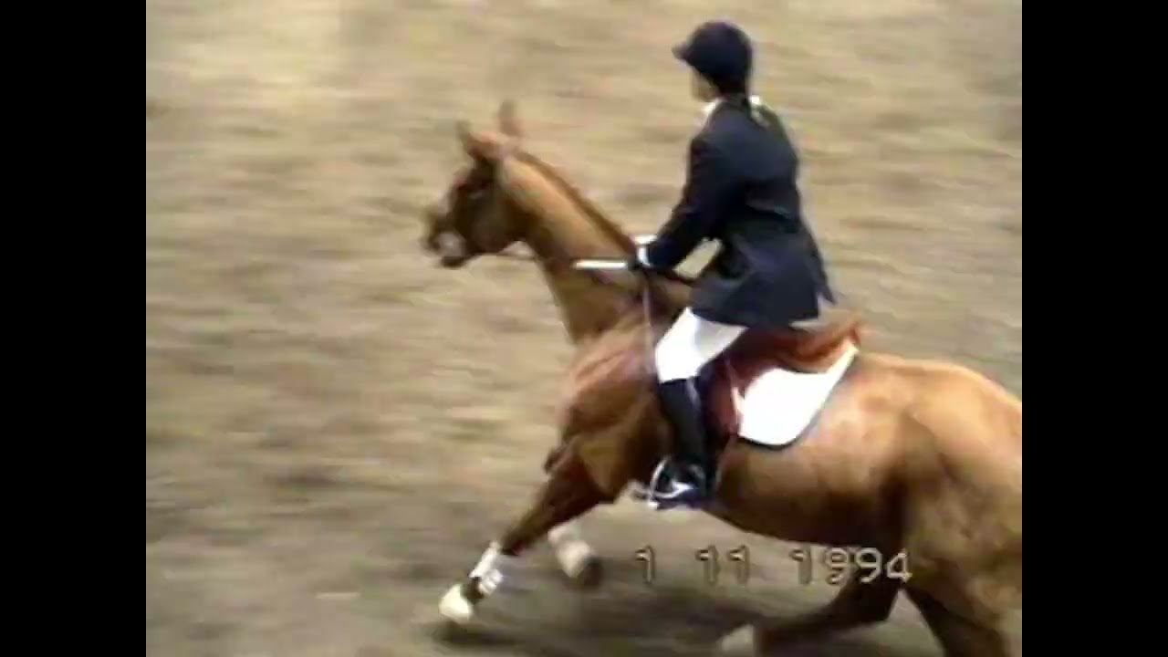 CSO Angoulême 1994 Championnat 5è catégorie