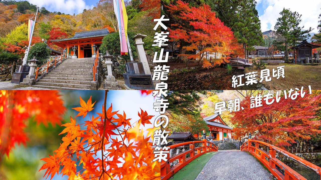 Ohminesan-Ryusenji Temple｜Quiet Early Morning Walk｜Late Autumn｜No Talking | UsagiFilm