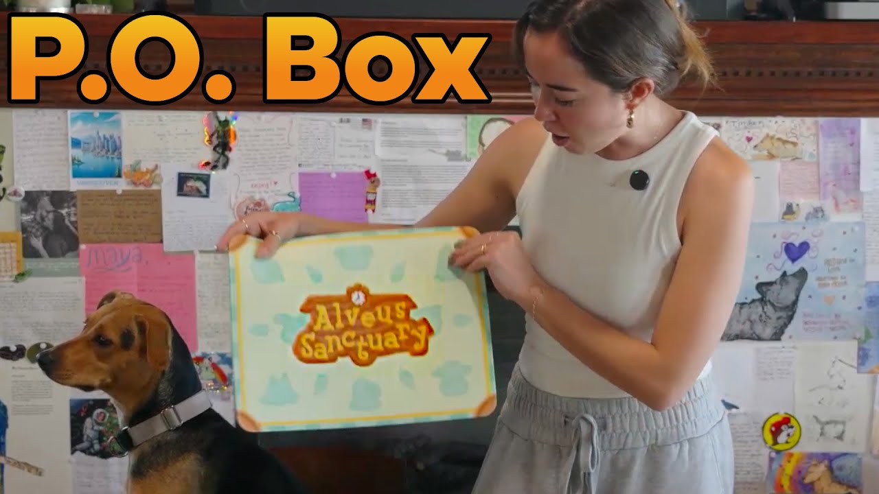 Maya & Gidget Open the Most Creative P.O. Box EVER!