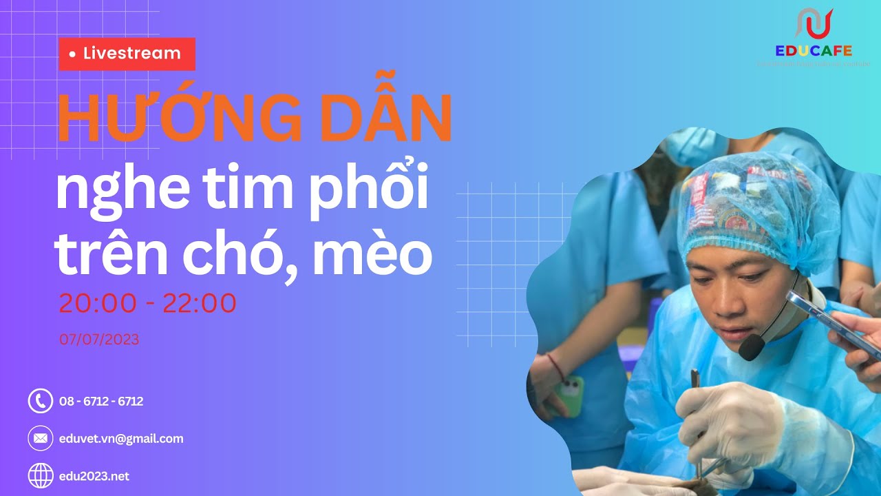 Hướng dẫn nghe tim, phổi trên chó và mèo
