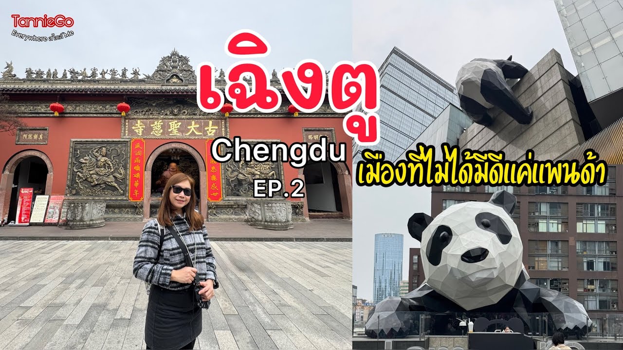 ตะลุยเมืองแพนด้าสุดคิ้วท์ ต้องลองไปสักครั้งในชีวิต | เฉิงตูภาคจบ | TannieGo EP.96