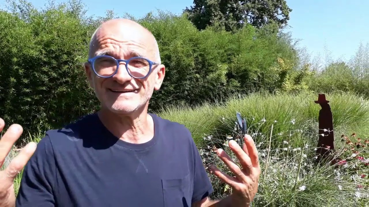 Mini pond: ecco le piante acquatiche sul balcone di casa
