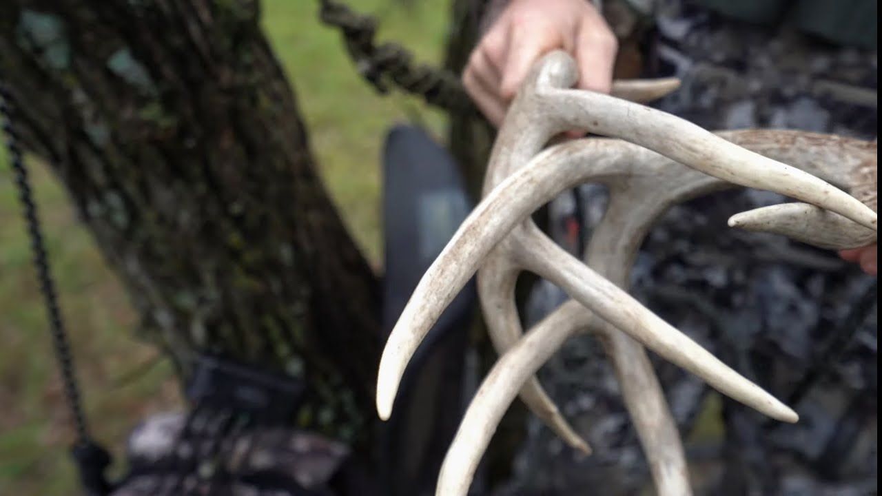 Best Deer Hunting Call Ever