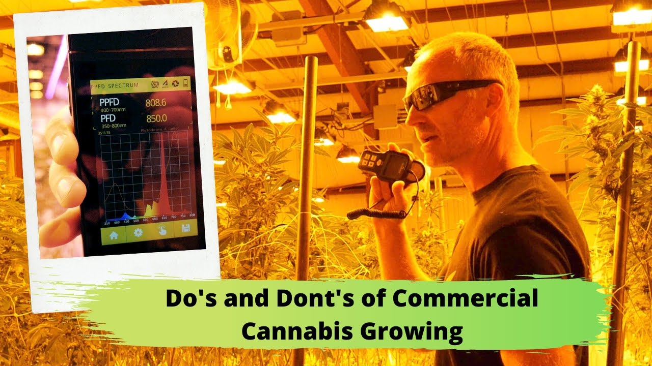 COMMERCIAL GROW LIGHTING EXPLAINED: Cannabis Light Levels, PPF, PPFD, Leaf Surface Temp. and MORE!