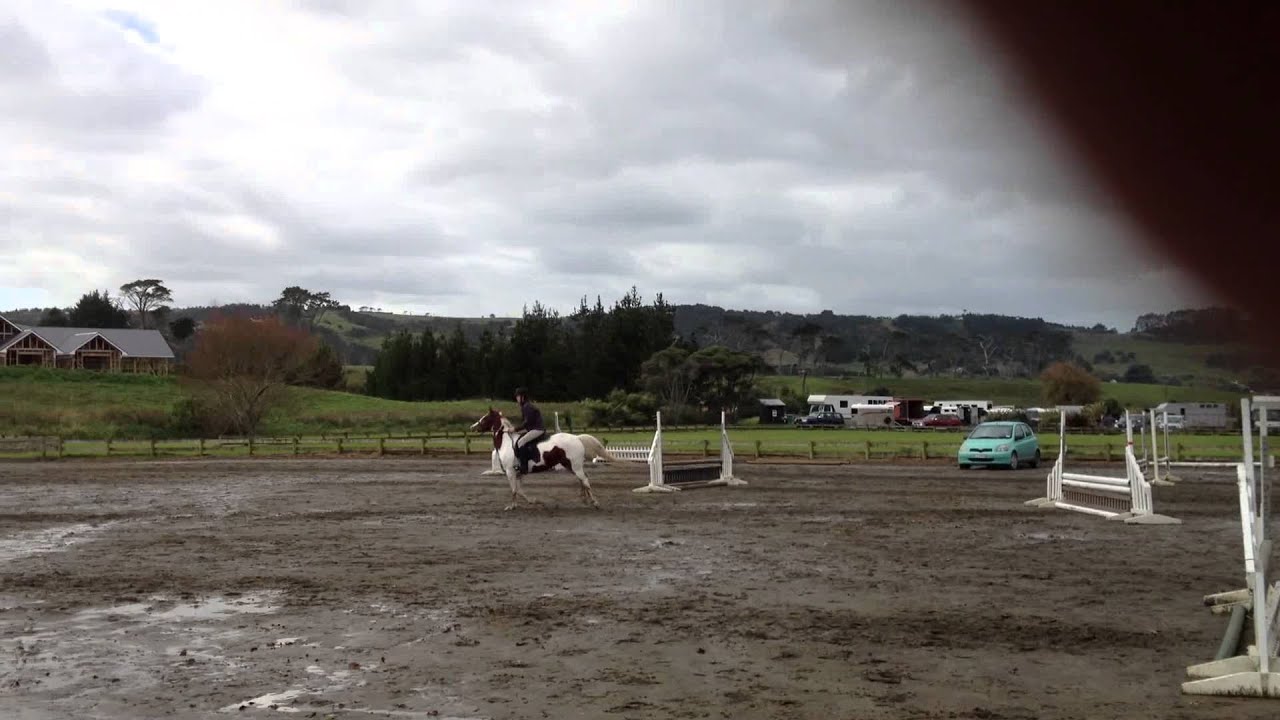 Stonelea Stardust 1