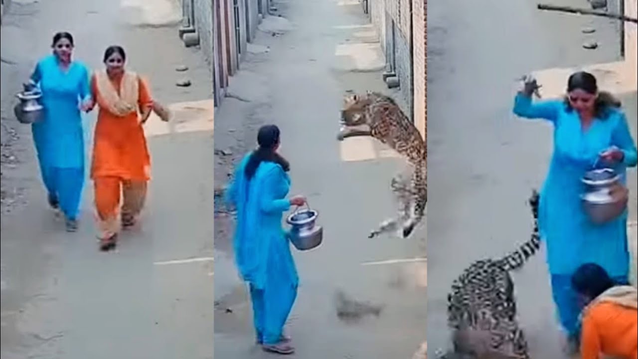 கேமராவில் பதிவான மிரள வைக்கும் நம்ப முடியாத சம்பவங்கள் /Unbelievable Moments Caught On Camera