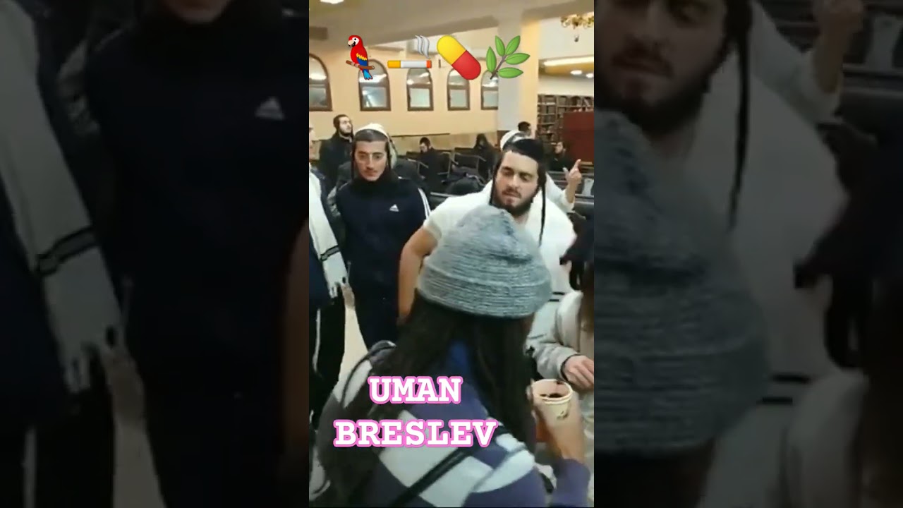 UMAN PUNTO BRESLEV SINAGOGA PARODIA 💊🚬🦜🌿Embajadores🤪SADIK donde descansa el mundo🌎