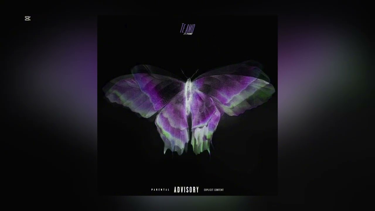 Astral44 - Te amo Ft @PLUMETAYER (officiel music audio)
