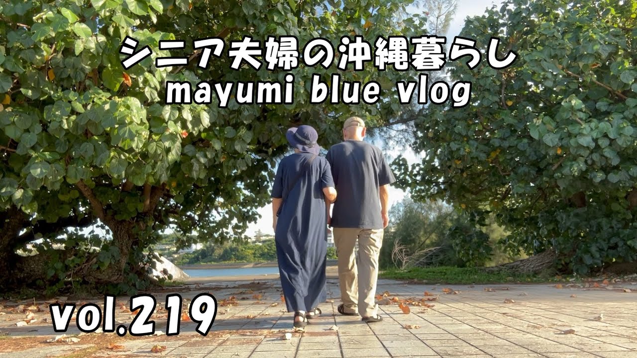 【沖縄暮らしvlog】たまには夫と離れて、お友達とランチ/沖縄「慰霊の日」/世栄津の森公園/チブル（夕顔）の挽肉入りあんかけ/可愛い猫ちゃん/石川公園散歩