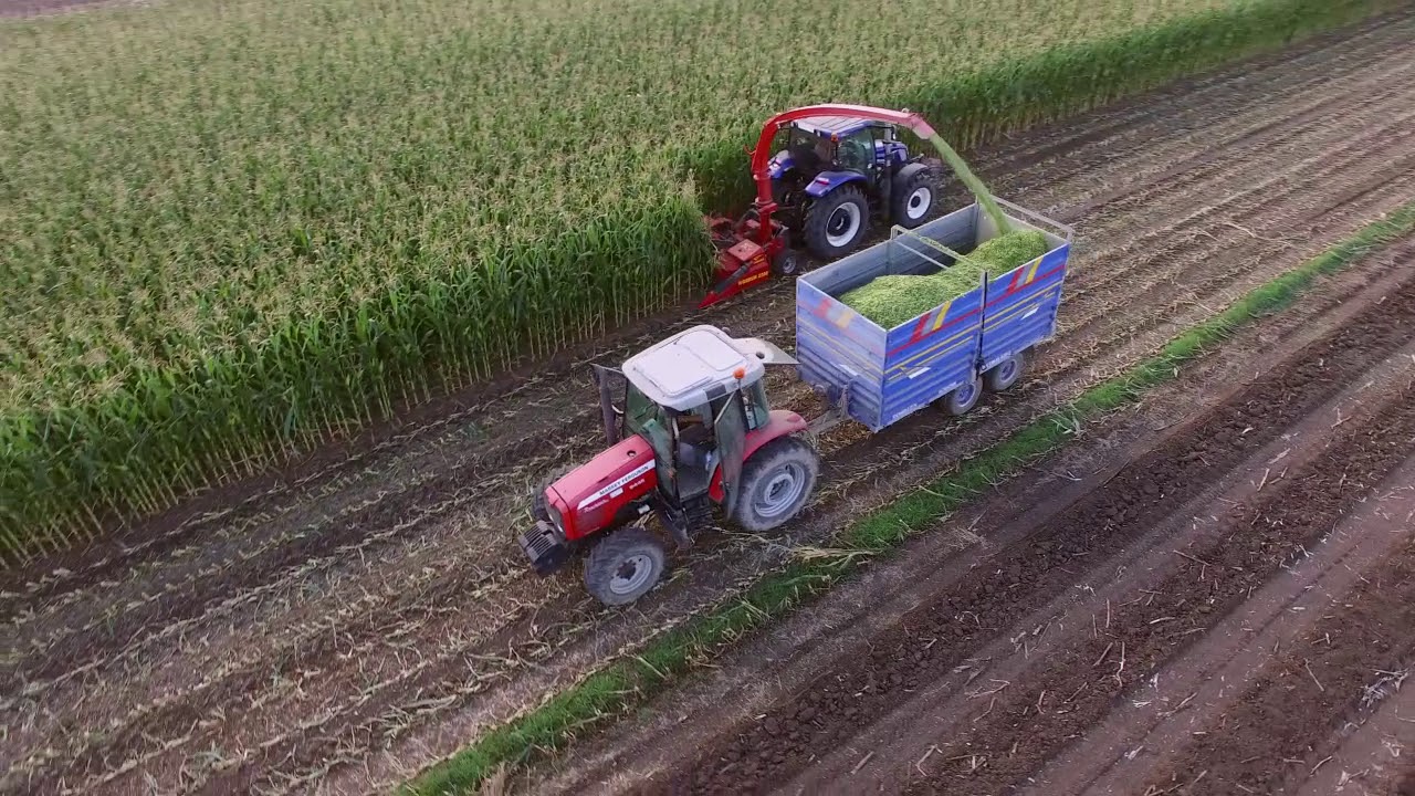 FiMAKS 3 ROWS MAIZE CHOPPER BIGDRUM 2200
