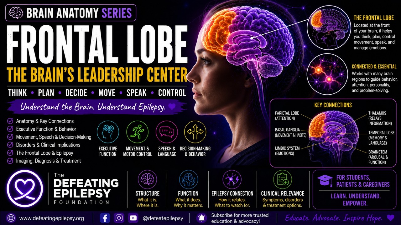 FRONTAL LOBE: The Key to Unlocking Your Brain's Full Potential