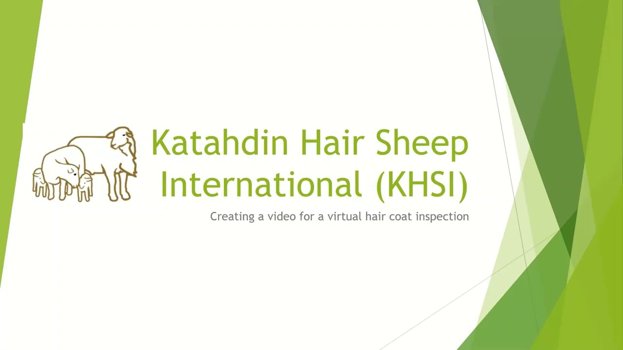 How to Make a Video for Katahdin Hair Coat Inspection