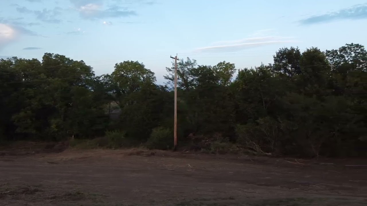 Pressgrove Farm Tree Cleanup Update 230904