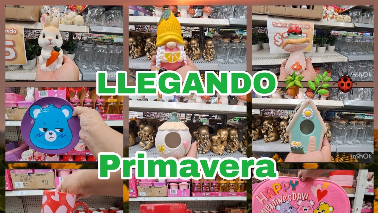 1️⃣6️⃣ ENERO🪴 LLEGANDO  PRIMAVERA 🪴🌿🐞⚘️🌿🪴🐞💕A BODEGA AURRERA⚘️🌿 PRICHOS 🌿🌴🌻🌻🌻🐞🐞