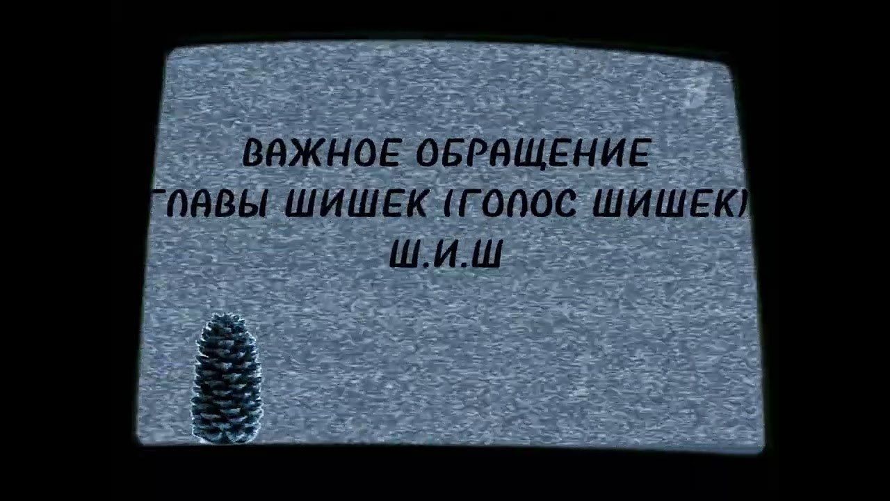 perehvat1tv2009shishkami