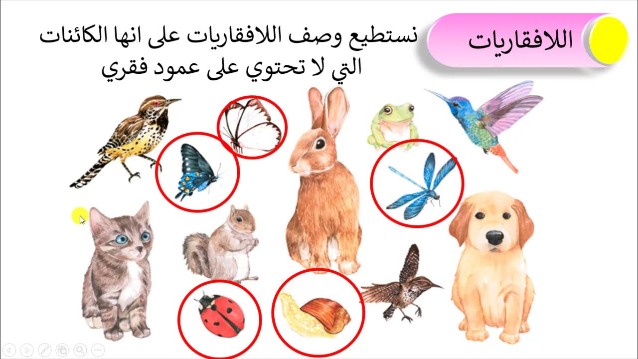 تصنيف اللافقاريات| علوم | الصف السابع