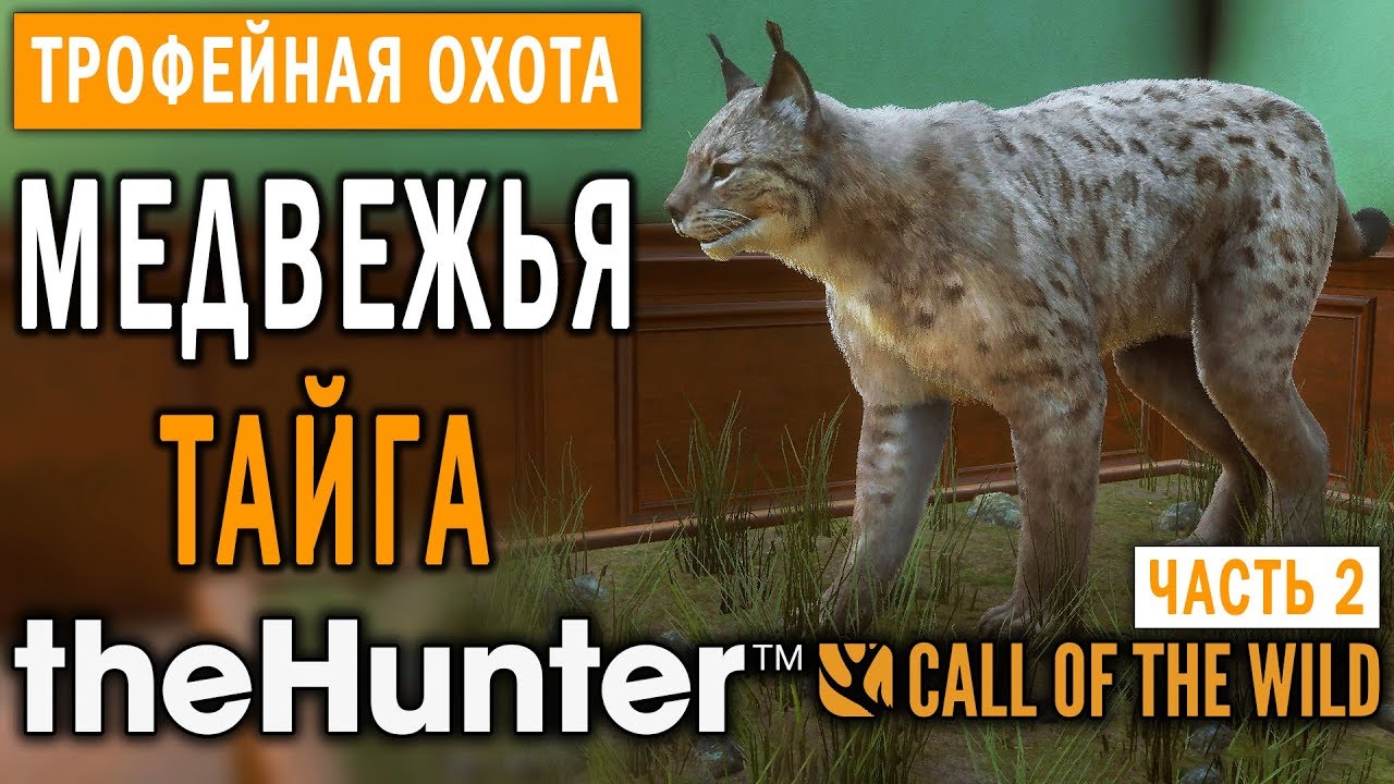 theHunter Call of the Wild #6 🔫 - Медвежья Тайга - Трофейная Охота (Часть 2)