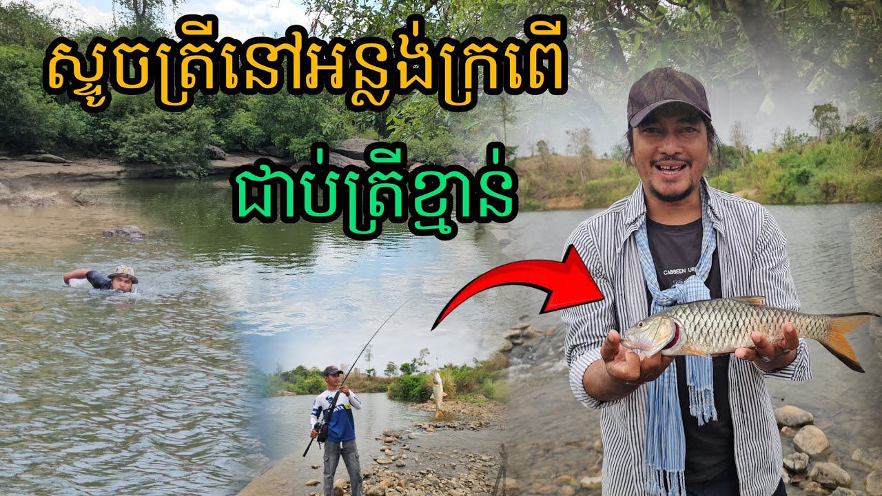 ស្ទូចត្រី​នៅអន្លង់ក្រពើជាប់ត្រីខ្មាន់