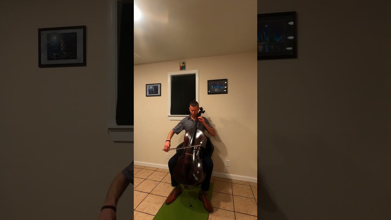 Sarabande from the Cello Suite No. V (c minor) by J.S. Bach