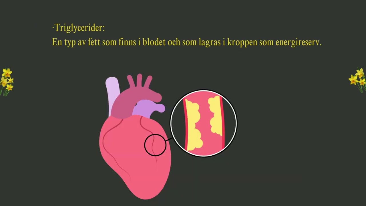 Högt kolesterol -  viktiga ord