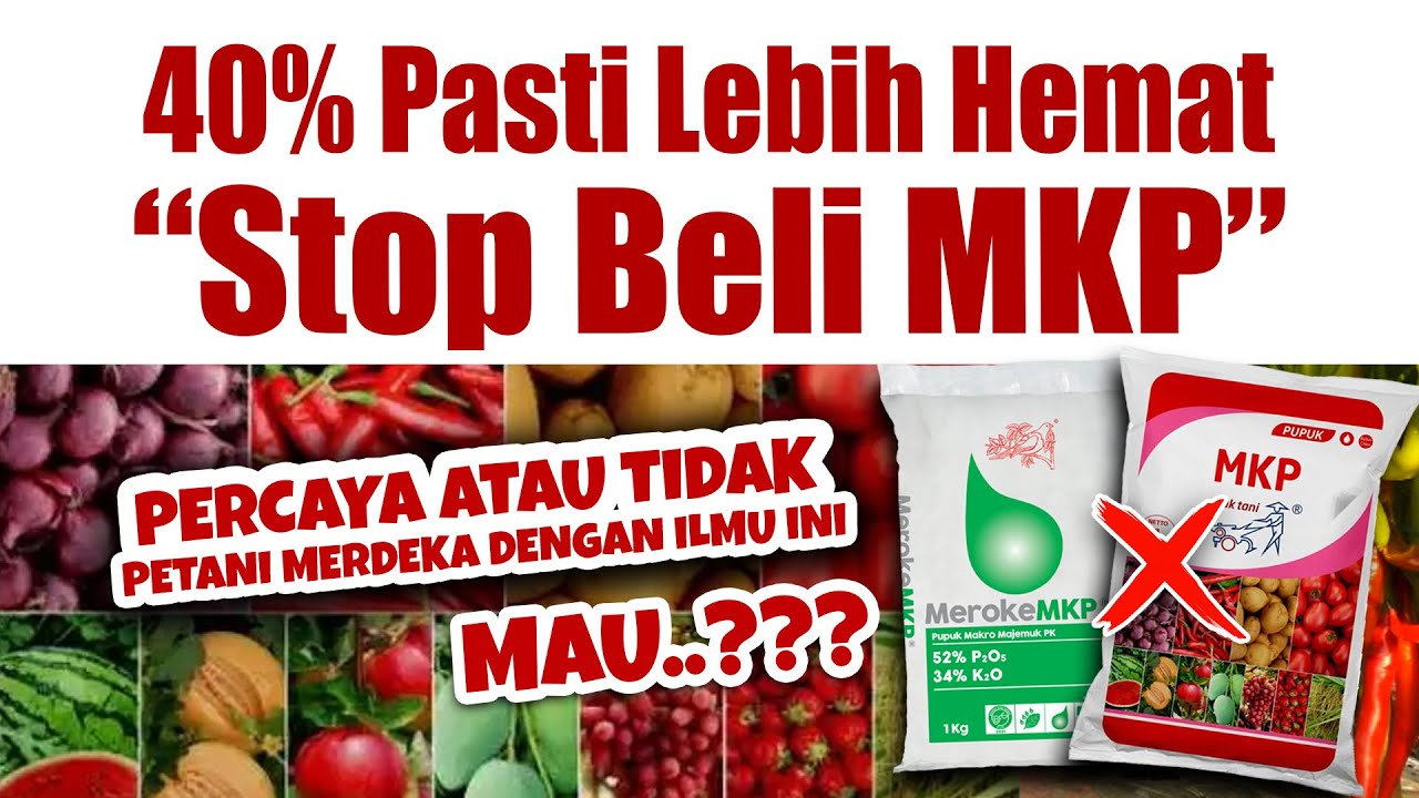 40% LEBIH HEMAT, STOP BELI MKP.❗❗❗ RAHASIA MEMBUAT PUPUK GENERATIF TANAMAN BERBUAH LEBAT