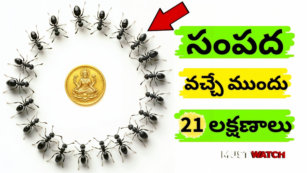 మీరు ధనవంతులు కాబోయే ముందు చూసే 21 సంకేతాలు! లక్ష్మీ పూజ Lakshmi Pooja #భక్తి #lakshmidevi #lakshmi