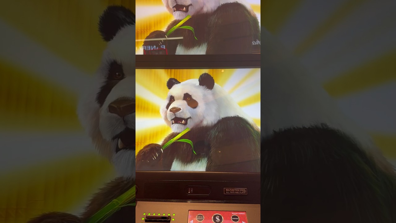 KUNG FU PANDA STRIKES AGAIN INSANE Dragon Vs Panda. Massive Panda Win! 