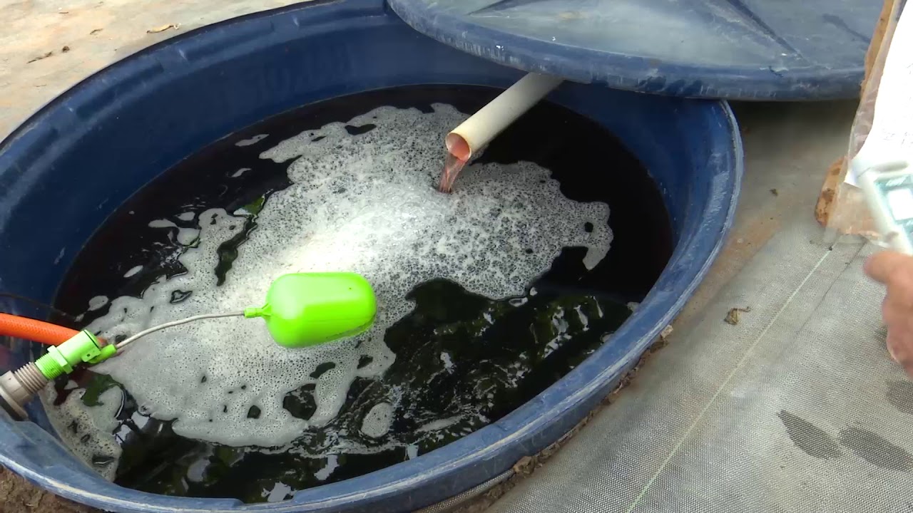 Agua para cultivos hidropónicos en el Chaco