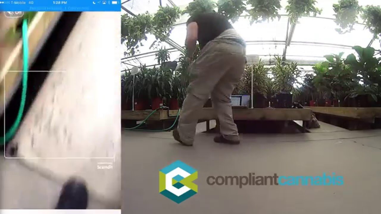 Compliant Cannabis Scanning Demo