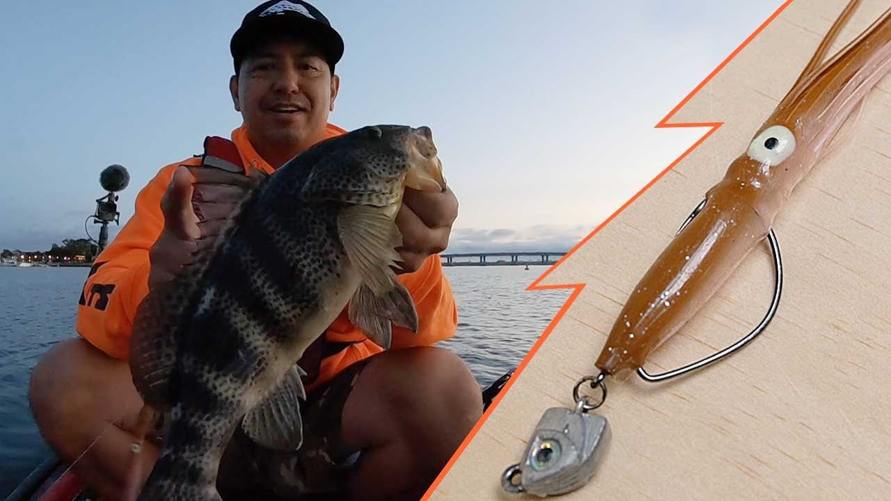 Squid Guy  |  Spotted Bay Bass | NECK BREAKER