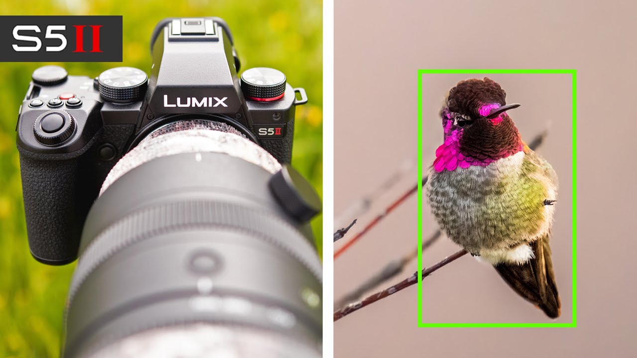 Обзор Panasonic S5II для фотосъемки дикой природы и птиц