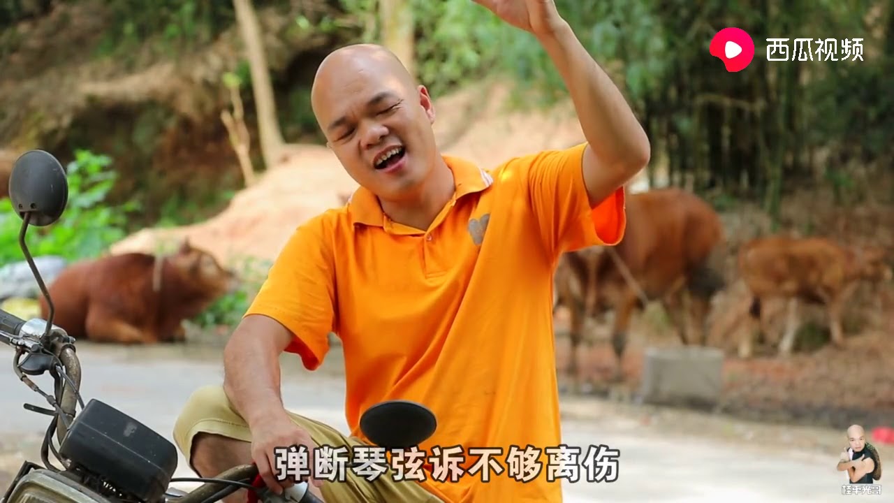 光哥翻唱一首《走天涯》秒杀背后的黄牛啊！