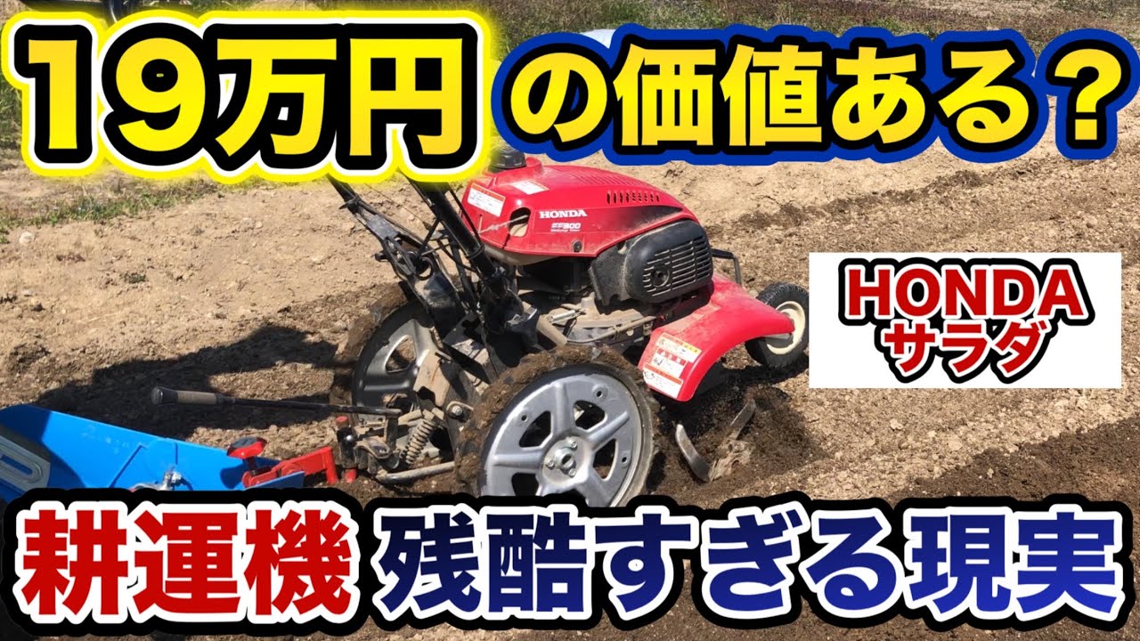 【耕運機 おすすめ】ホンダ サラダ FF300を5年使ってみた正直な感想【家庭菜園 畑 農業】