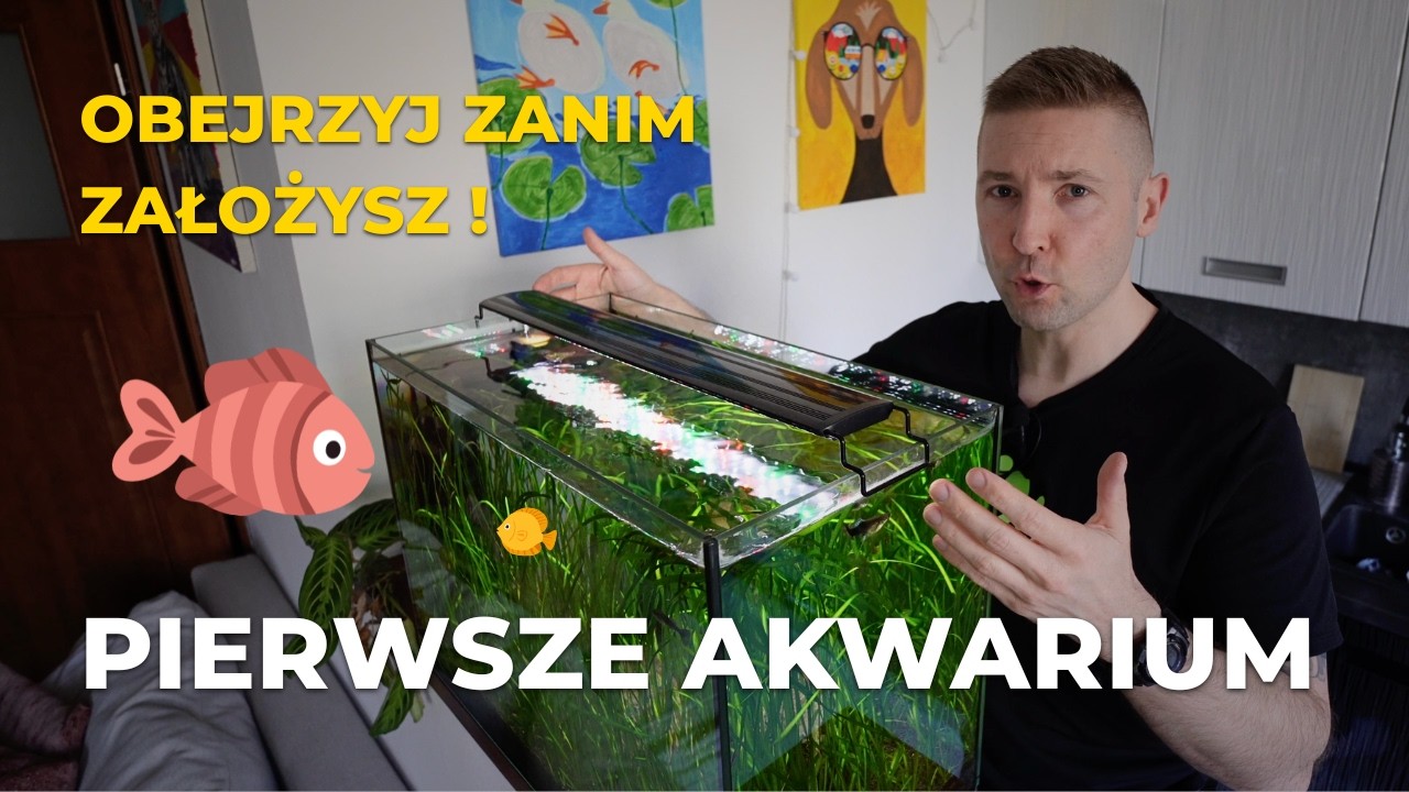 Pytania do Akwarysty: Ile kosztuje prąd, jak przycinać rośliny i kiedy wpuścić ryby?