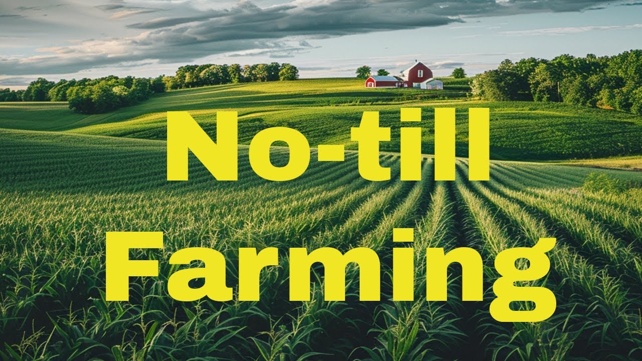 Notill Farming - A Sustainable Revolution
