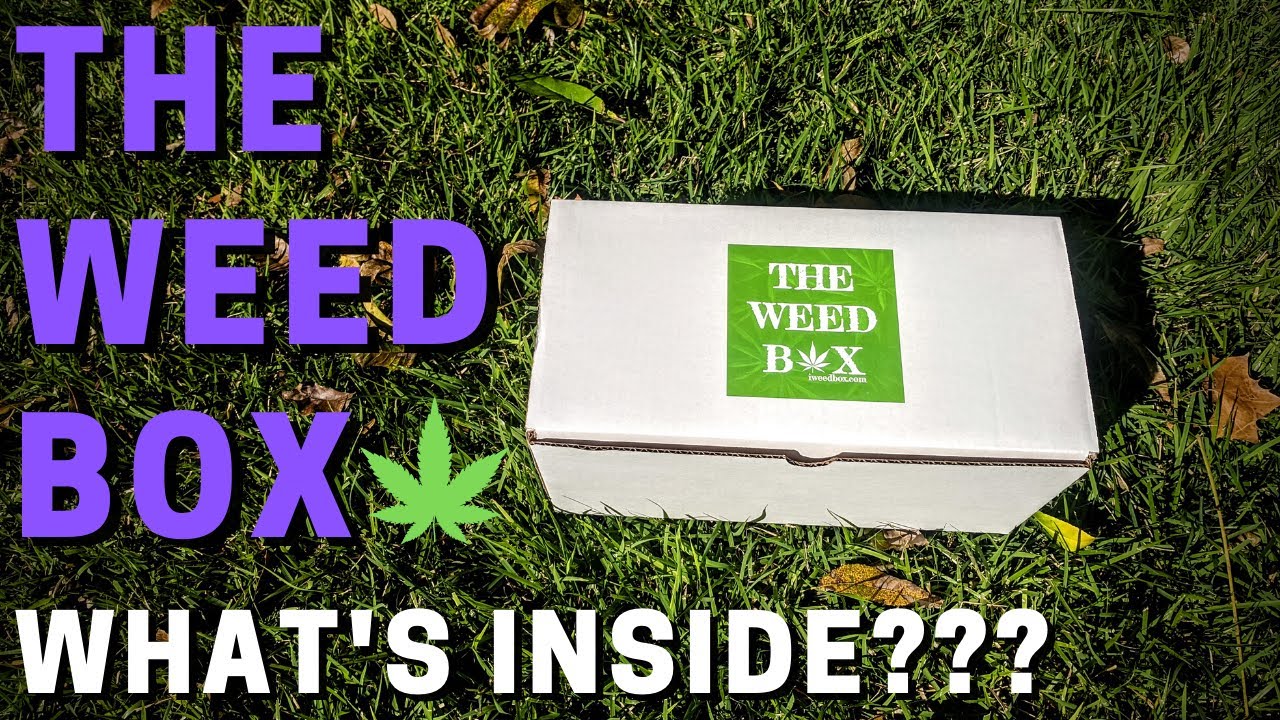 The Weed Box: Festival Box Review (Plus 10% Off Discount Code)