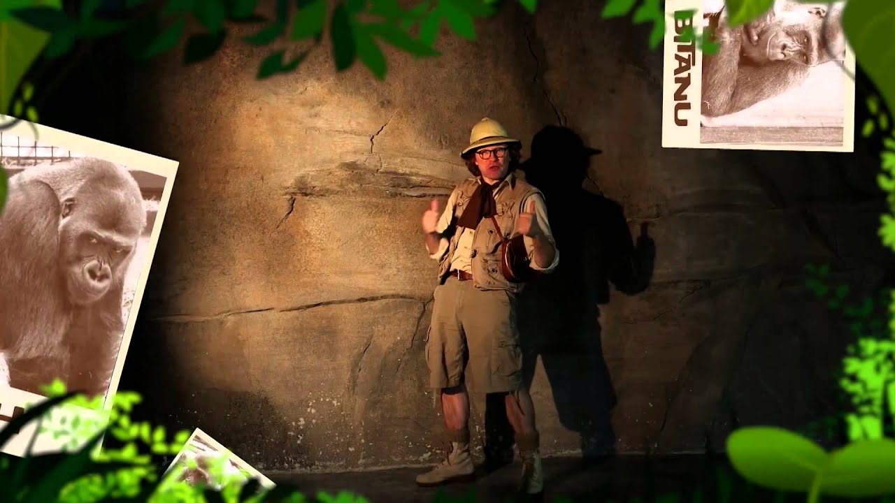 Bamboo Bill - Baloo, Bitanu, Bitono, Imbizo, Popa en Jah (Gorilla Adventure)