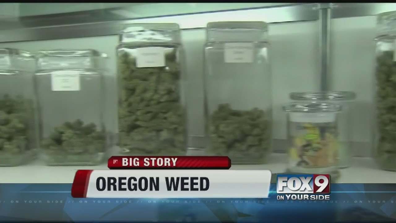 Ballot measure could legalize weed