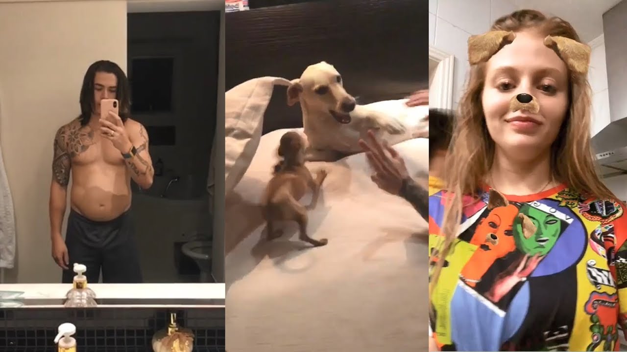 WHINDERSSON E LUISA DE VOLTA AO BRASIL + AMORA, REGINA E GISELE